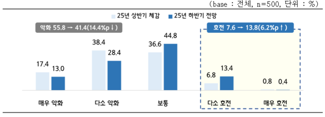25년 상반기 경영실적 및 하반기 경기 전망. 중기중앙회 제공