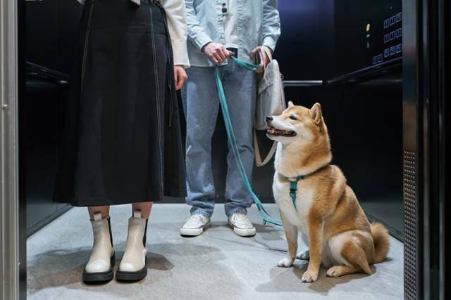 ⓒ게티이미지뱅크