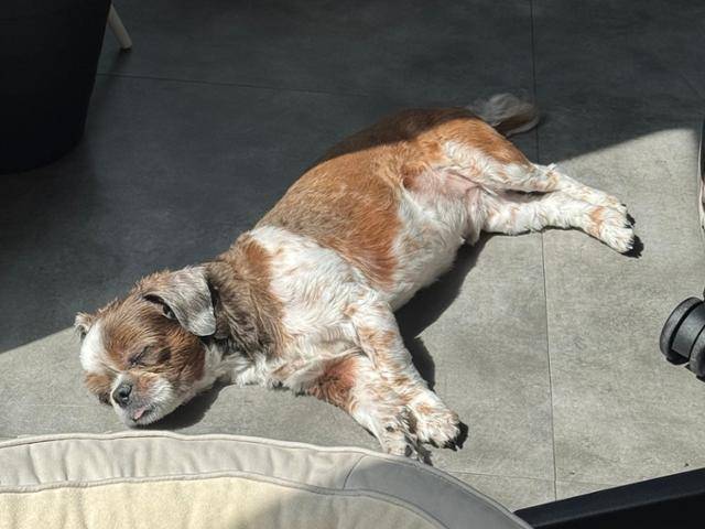 동그람이 김건희 에디터 제공동그람이 김건희 에디터 제공