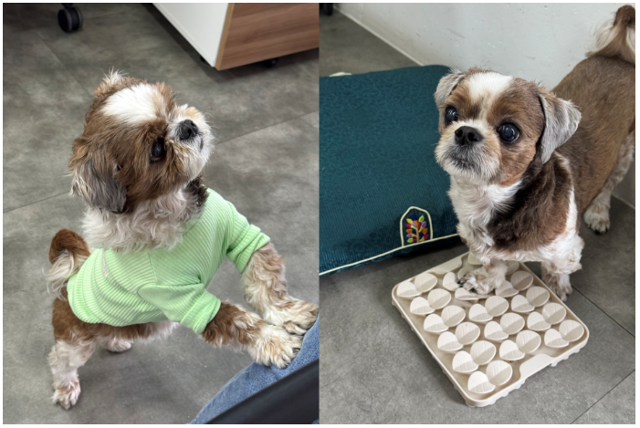 동그람이 김건희 에디터 제공동그람이 김건희 에디터 제공