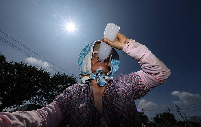 “아이고 더브래이” 경북 고령군 다산면의 한 농민이 2일 뙤약볕 아래서 밭일을 하던 중 얼음물을 마시고 있다. 연합뉴스