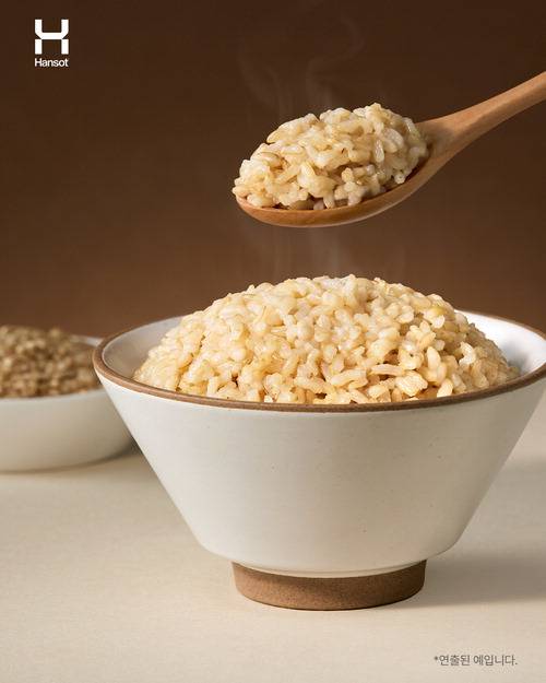 한솥도시락 현미밥.