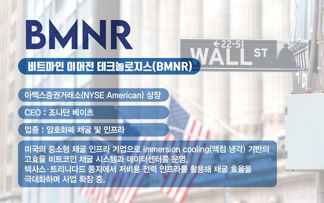 사진은 비트마인 이머전 테크놀로지스(BMNR) 기업정보. /사진=김은옥 기자