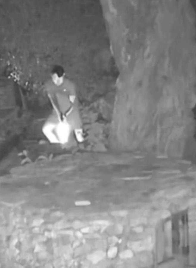 학대 당시 CCTV 캡처 [출처:비글구조네트워크]