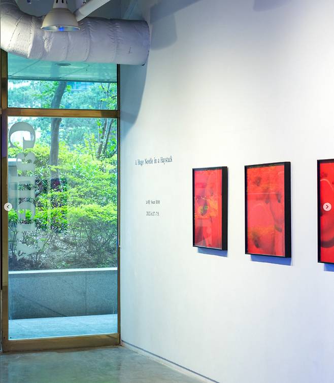 과일을 페인트 통에 빠뜨려 사진으로 담아 조작된 사진처럼 보이도록 만들어 많은 주목을 받았던 '멜트다운(meltdown, 녹아내림)' 시리즈도 전시장 한 켠에서 볼 수 있다. 금산갤러리 제공