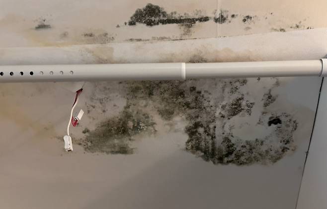 천장의 누수로 곰팡이가 피어있는 천장. 피해자 정모씨 제공