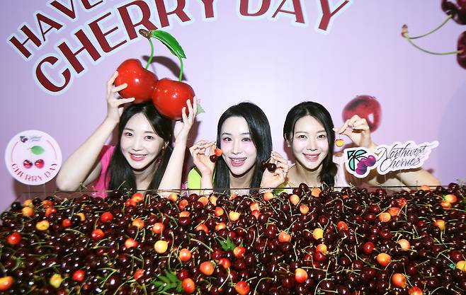 2일 오전 서울 종로구 리제로서울에서 열린 미국북서부체리 출시 기념 '체리데이' 사진행사에서 모델들이 체리를 선보이고 있다. 김경호 기자