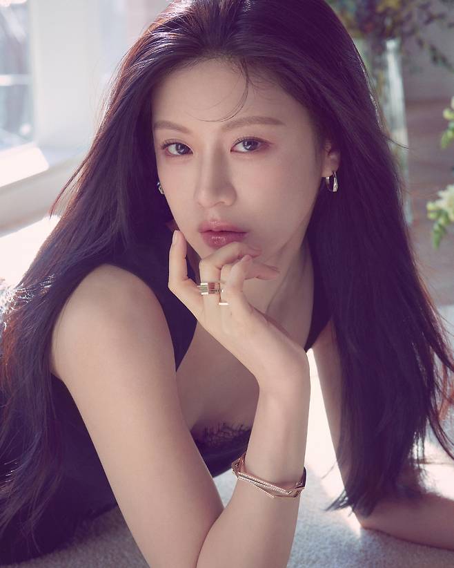 디디에 두보