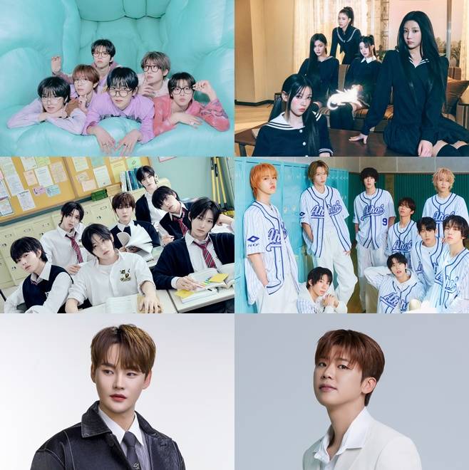 티브이데일리 포토