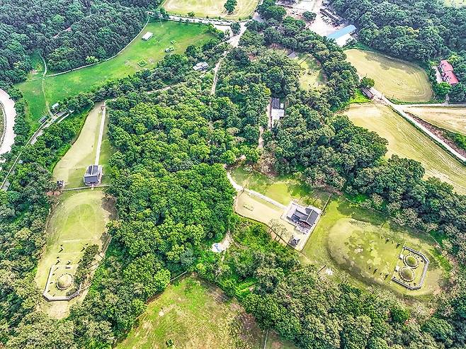 희릉(왼쪽)과 예릉 [사진/백승렬 기자]