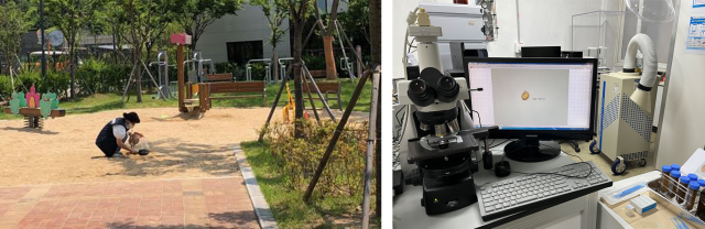 대구보건환경연구원 소속 연구원이 대구 시내 놀이터의 모래를 채취, 기생충 알이 있는지 여부를 검사하고 있다. 대구보건환경연구원 제공.