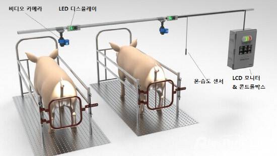 양돈인공지능_분만사관리시스템모식도. 사진=경남도