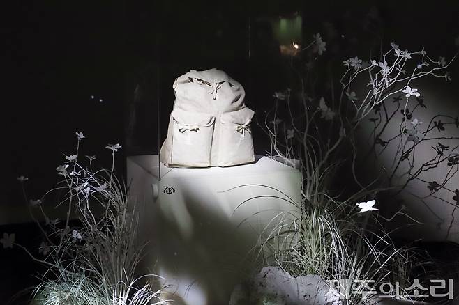 석주명이 채집 여행을 다닐 때 지니고 다닌 가방. ⓒ제주의소리