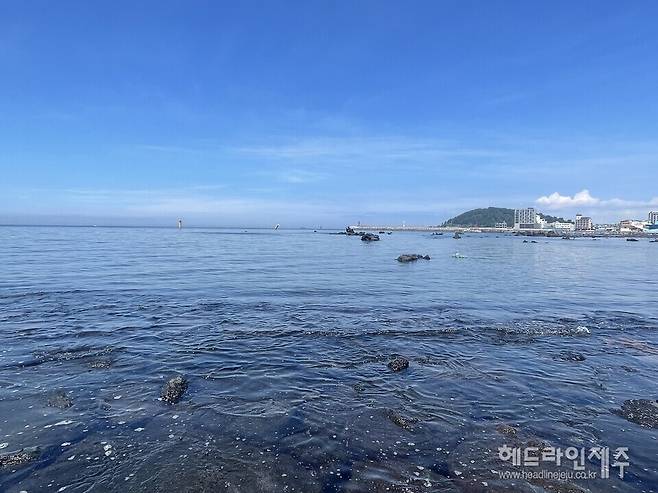 뜨거워지는 제주 바다. 기후위기가 심화되면서 지난해 제주도 해역의 바닷물 온도는 평년보다 1.2도 높아진 것으로 분석됐다. 올해에도 고수온 현상은 이어질 것으로 예고되면서 수산업 분야에서 많은 피해가 우려된다. 사진은 제주시 도두동 해안 전경. ⓒ헤드라인제주