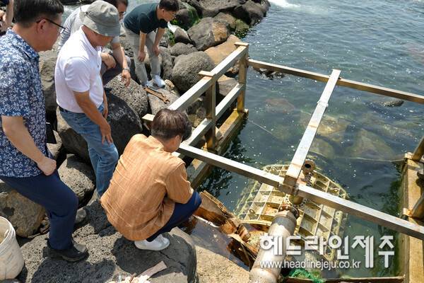 사진은 지난해 여름, 제주도의 양식장 고수온 피해 상황 현장점검 모습.&nbsp;