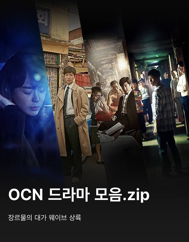 제공: 웨이브