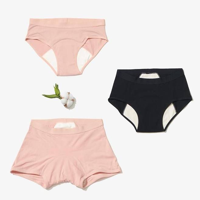 싸이클린 홈페이지