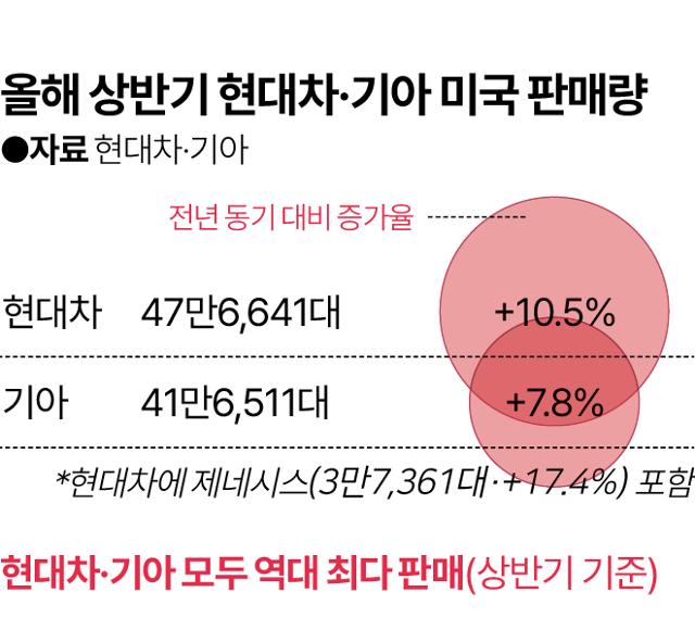 그래픽=김대훈 기자