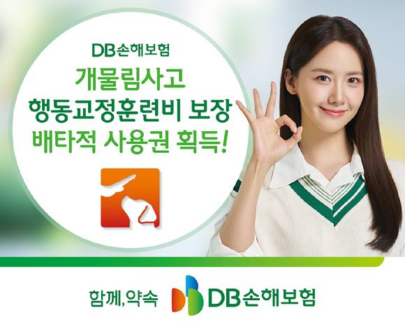 [사진=DB손해보험]