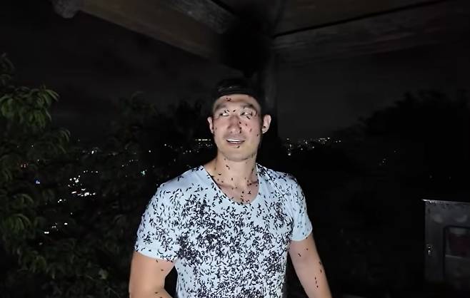 In a video posted on his channel "Lee Chung-geun," a Korean male YouTuber waits for lovebugs to cling to his white shirt so he can collect them and make a batter. (YouTube)