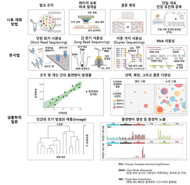 연구와 분석 과정