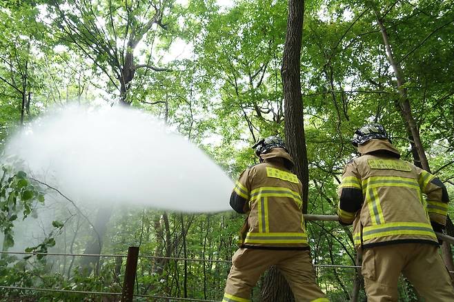 소방관이 생활불쾌곤충 없애기 위해 살수 방역을 하고 있다. [서울시 제공]