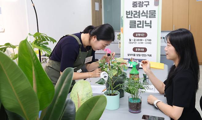 3일 서울 중랑구 신내동 중랑구청 제2청사에서 운영중인 '반려 식물 클리닉'을 찾은 구민이 전문가와 상담을 하고 있다.