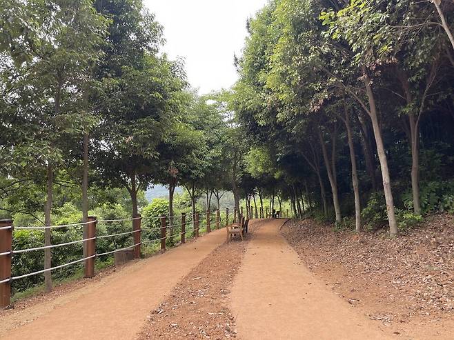 통영시 맨발걷기길 ⓒ통영시