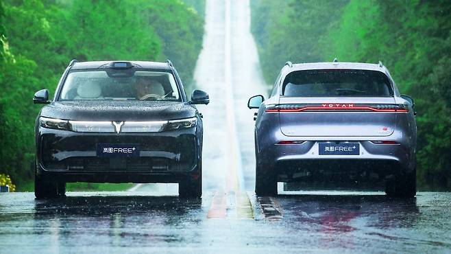 보야 프리 플러스