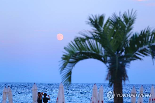 양양 인구해변 [연합뉴스 자료사진]