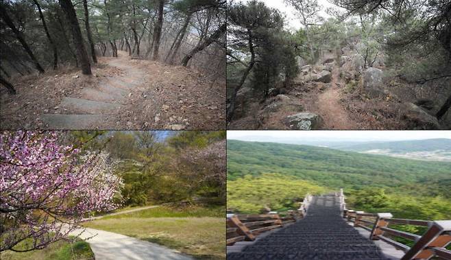 금남면 꾀꼬리봉 주요 장소.