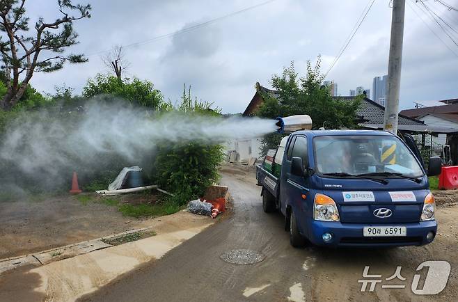 경기 양주시가 붉은등우단털파리(일명 러브버그) 퇴치를 위한 합동 방역에 나선 모습.