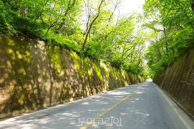 충북 단양 가볼 만한 곳, 인생샷 남기기 좋은 장소 4곳
