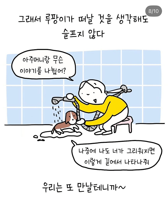 image.png 반려견 산책중 만난 아줌마 반려견 산책중 만난 아줌마 .jpg