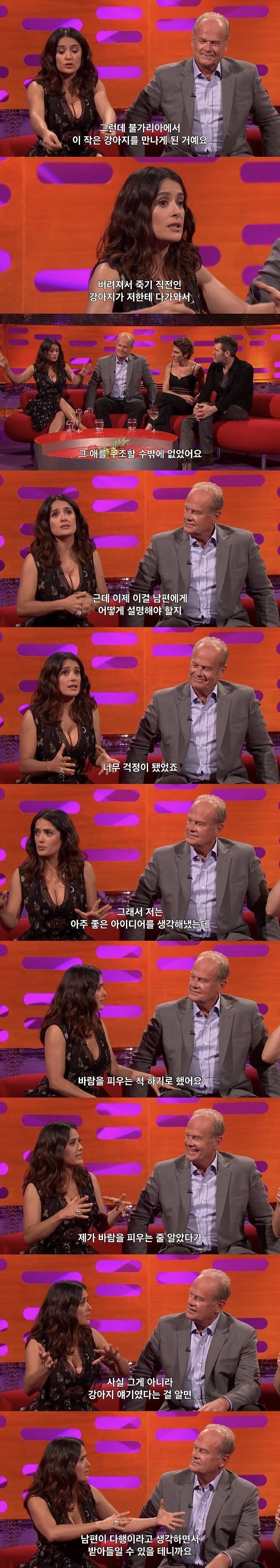 Internet_20250704_222304_2.jpeg 셀마 헤이엑의 유기견 구조썰 .jpg