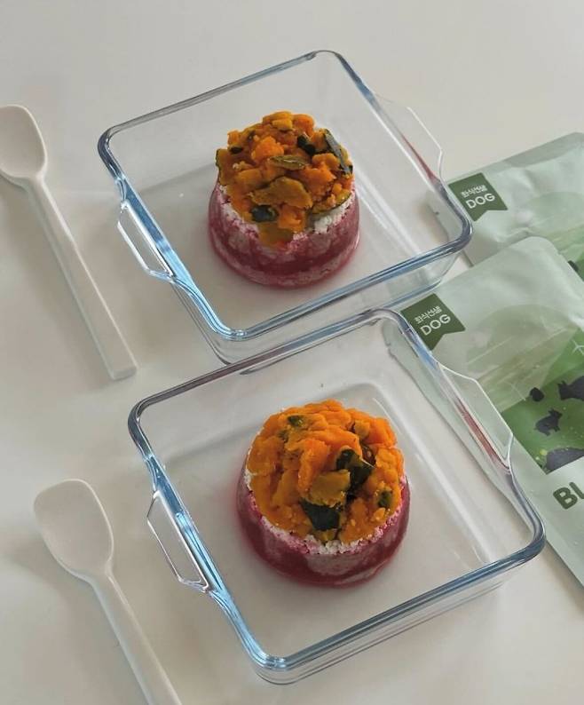 포옹서포터즈들이 올린 반려동물 '밥꾸' 이미지 포옹 제공