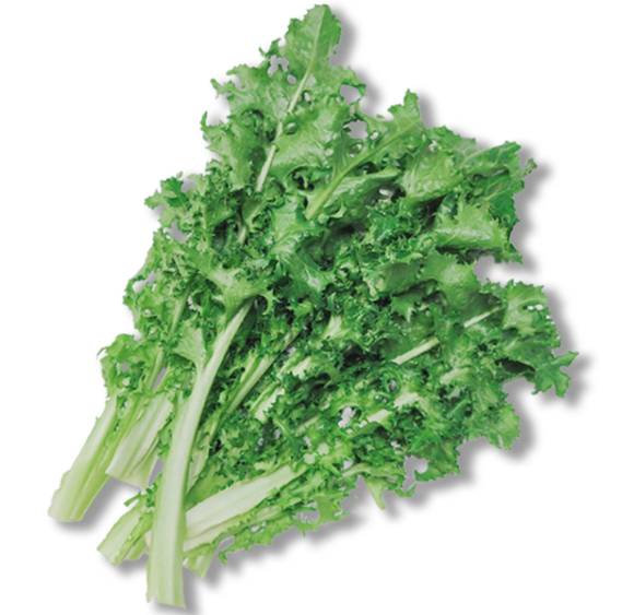 치커리는 다양한 건강 효능을 가지고 있다. 사진은 치커리. [사진=herbon]