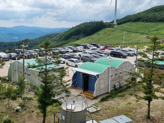 ▲ 육백마지기가 관광명소로 유명세를 타며 정상에 조성한 야생화생태공원의 샤스타데이지가 개화하는 6월이면 수년째 교통대란이 반복되고 있다. 지난달 30일 평일인데도 정상 주차장이 가득차 있다.