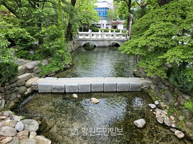 ▲ 강원 태백시 중앙로 상점가 상인회는 4일부터 오는 8월 30일까지 매주 금·토요일 오후 5시부터 9시 30분까지 황지연못 황부자며느리광장 일원에서 ‘황부자 며느리 야시장’을 운영한다. 전인수