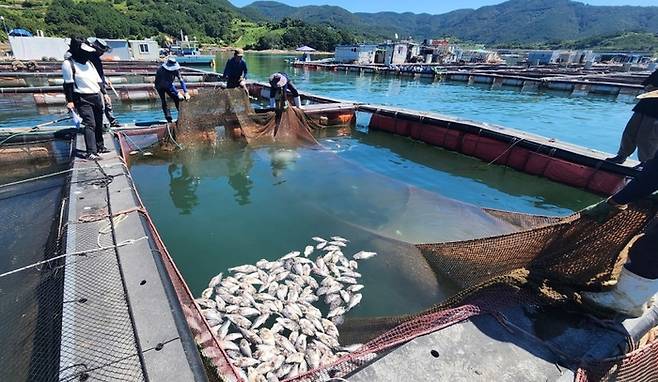 사진 = 전라남도