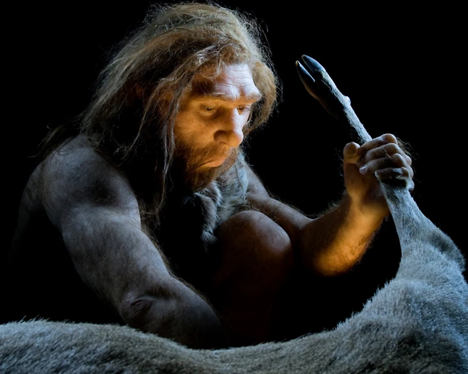 [사진=사이언스어드밴시스]