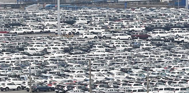 경기 평택항 자동차 전용부두에 수출용 차량이 세워져 있는 모습./사진제공=뉴시스