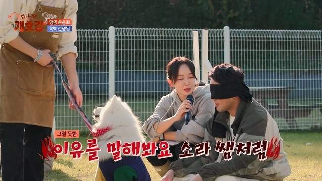 사진=JTBC ‘집 나가면 개호강’