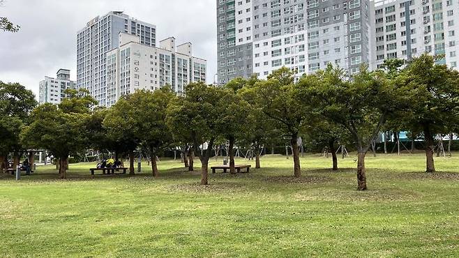 [부산=뉴시스] 이아름 기자 = 부산콘서트홀 새 주차장 조성 부지. 2025.06.20. aha@newsis.com *재판매 및 DB 금지