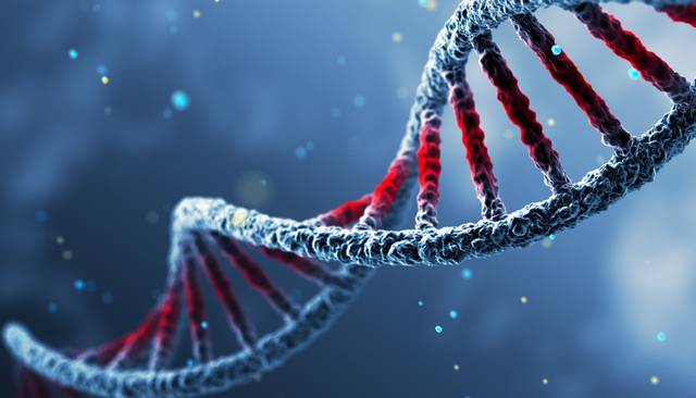 질병이 없는 정상인의 인체에서도 체세포 돌연변이가 발생한다는 점을 확인한 연구 결과가 나왔다. 사진은 기사의 특정 사실과 관련 없음. 게티이미지뱅크