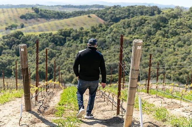 다우 급경사 포도밭.&nbsp; 홈페이지