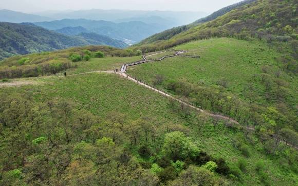 강원 인제 곰배령. 서울신문 DB