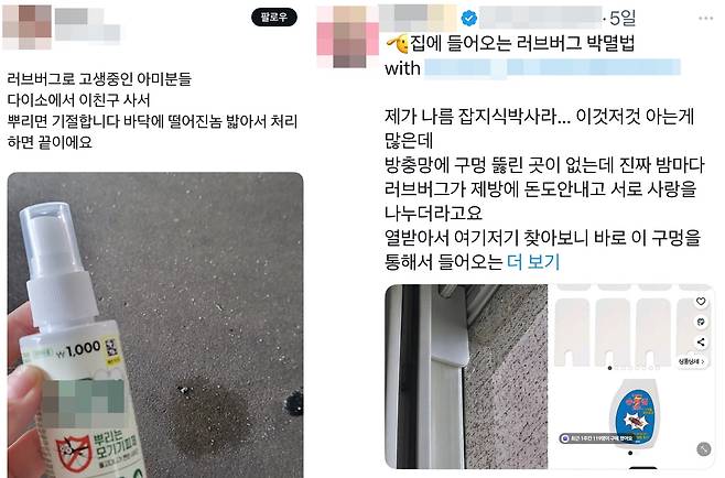 [엑스 캡처. 재판매 및 DB 금지]