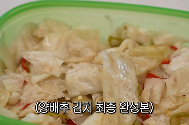 양배추 김치