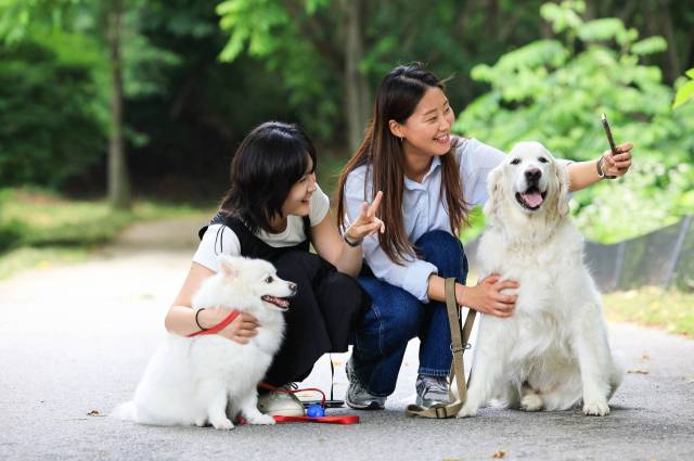 삼성물산 리조트부문 에버랜드가 반려견과 함께 숲속에서 트레킹하며 힐링할 수 있는